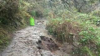 Machu Picchu: ingreso de turistas al Camino Inca se reanudará este sábado 5 de septiembre