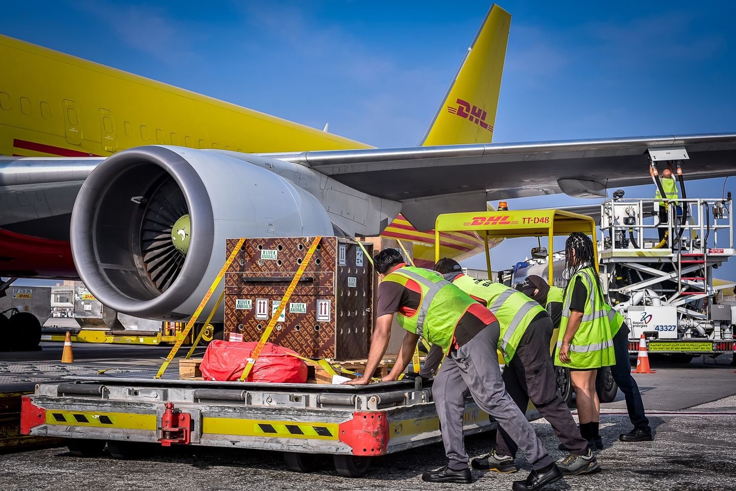 El informe de DHL y NYU Stern proyecta que el comercio mundial de bienes crecerá a una tasa promedio anual de 3.4% hasta 2029. Foto: DHL.