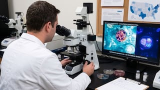 Crecen los casos de cyclospora en EE.UU.: ¿qué se está pasando por alto más allá de frutas y verduras?