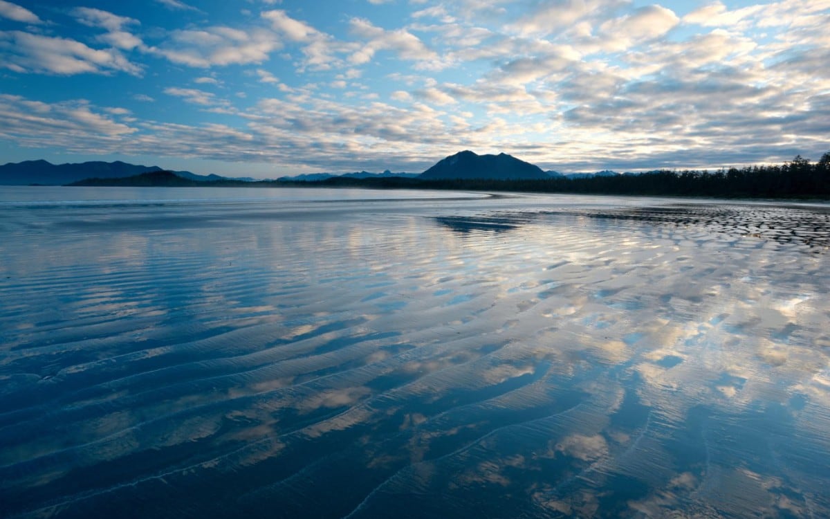 Científicos detectaron la presencia de la peligrosa bacteria vibrio vulnificus en varios cuerpos de agua de Long Island. (Foto referencial: Freepik)