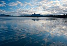 Riesgo extremo en Nueva York: detectan peligrosa bacteria en aguas de Long Island