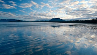 Riesgo extremo en Nueva York: detectan peligrosa bacteria en aguas de Long Island