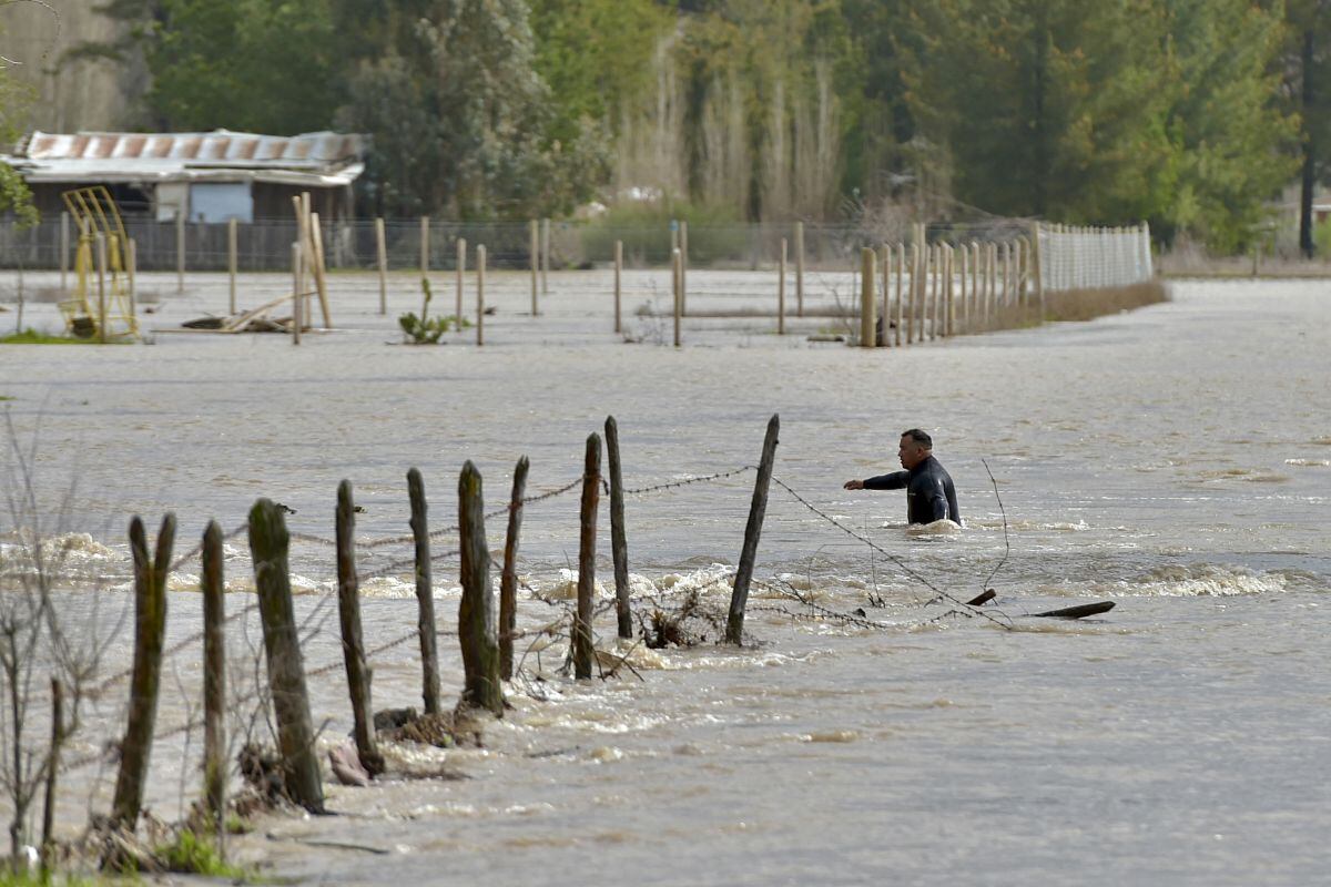 Un hombre camina en la ciudad inundada de Cabrero, en la región central del Bío Bío de Chile, el 21 de agosto de 2023, después de que las fuertes lluvias provocaran el desbordamiento del río Laja (Foto: Guillermo Salgado / AFP)