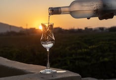 El pisco en 2026, el espíritu de la vid