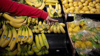 Países andinos respaldan alianza global contra la plaga del banano