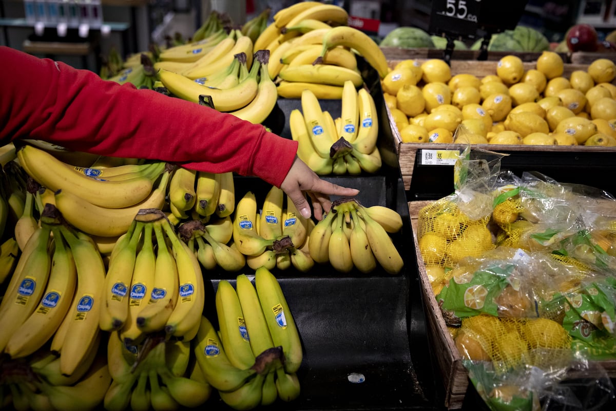 Chiquita es uno de los mayores comercializadores de bananas del mundo y su emblemática marca se remonta a más de 80 años, por lo que las perspectivas de su director ejecutivo tienen peso. Foto: Daniel Acker/Bloomberg