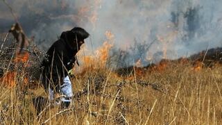 Minagri coordina estrategias para reforestar áreas afectadas por incendio en Cajamarca