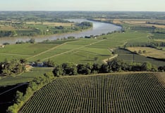 Patrimonio del Haut-Médoc: el vino de la semana