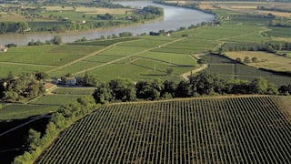 Patrimonio del Haut-Médoc: el vino de la semana