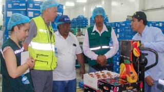 Provincia de Casma se alista a exportar mangos a Chile en enero