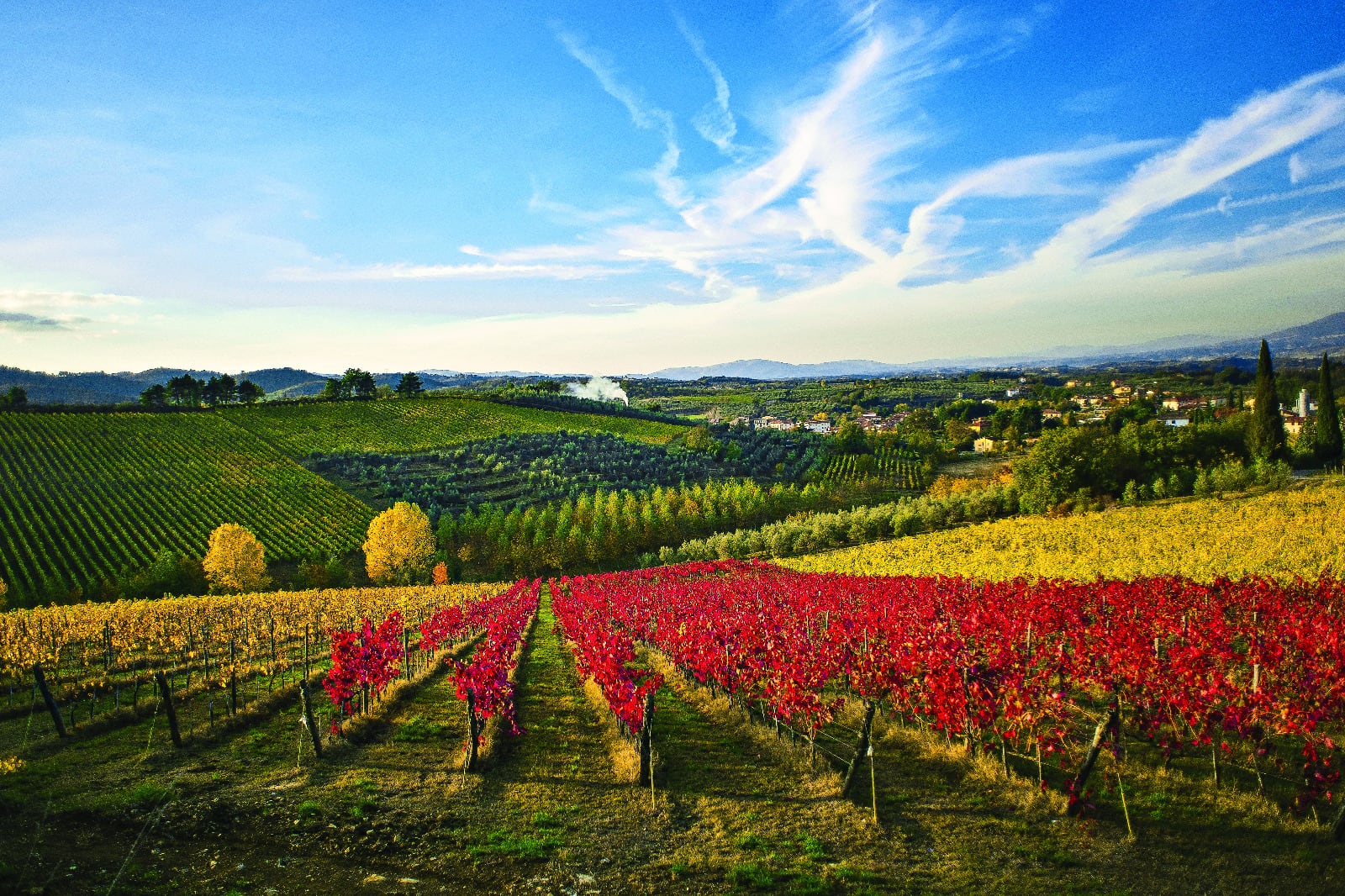 Con un paisaje idílico de colinas onduladas, viñedos sin fin y ciudades medievales encantadoras, la Toscana se ha convertido en un destino imperdible para los amantes del vino. Conocida por sus vinos tintos de clase mundial, como el Chianti, el Brunello di Montalcino y el Vino Nobile di Montepulciano, la Toscana ofrece una experiencia inigualable para los paladares más exigentes. (Foto: Revista El Conocedor).