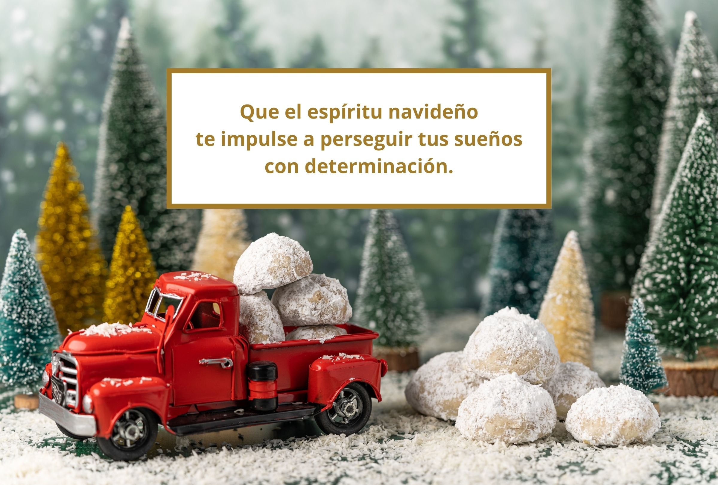Que el espíritu navideño te impulse a perseguir tus sueños con determinación. (Foto: Composición Gestión Mix)