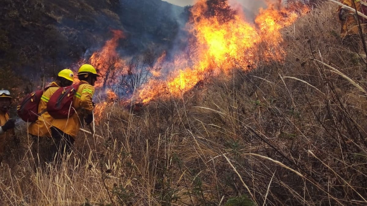 Alerta roja en sierra norte y centro ante posible ocurrencia de incendios forestales