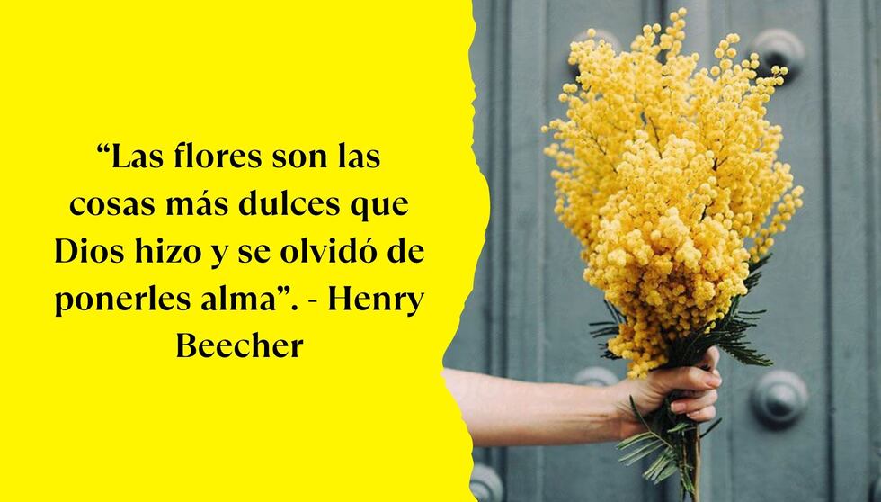 “Las flores son las cosas más dulces que Dios hizo y se olvidó de ponerles alma”. - Henry Beecher | Foto de Pinterest.