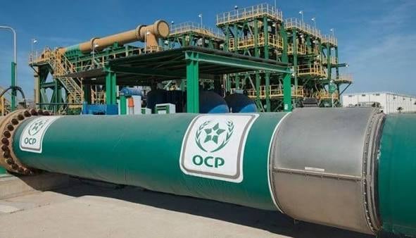 Foto: Web de OCP Fertilizantes