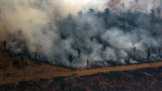 Francia propone a Bolivia alianza por la Amazonía