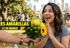 150 frases para regalar flores amarillas a alguien que te gusta