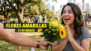 150 frases para regalar flores amarillas a alguien que te gusta