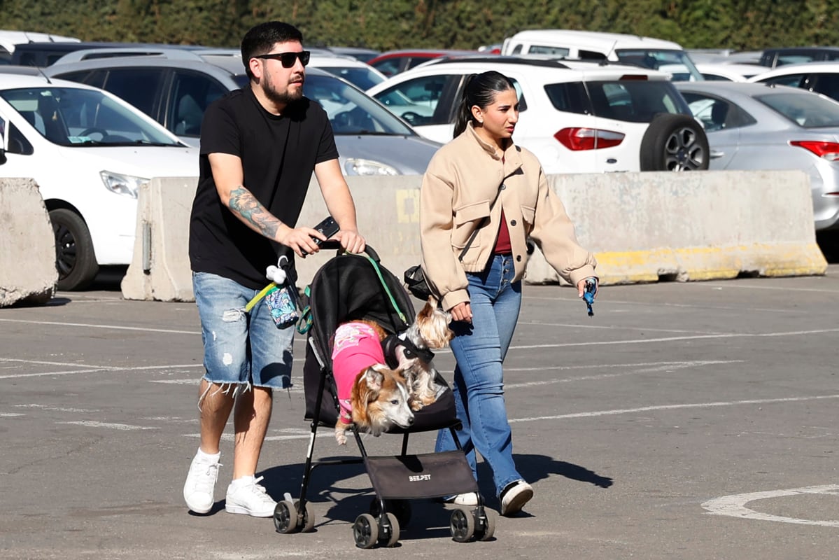 Fotografía del 30 de mayo 2026 que muestra a personas caminando con perros en un coche durante la 'Expo Mascotas & Animales', en Santiago (Chile). Mientras la natalidad en Chile cae a mínimos históricos y se reducen las maternidades en algunos hospitales, las mascotas ganan terreno y la industria de los animales domésticos experimenta un crecimiento explosivo en el país con la tasa de fecundidad más baja de Latinoamérica. EFE/ Elvis González