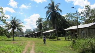 Estudio destaca crucial aporte de pueblos indígenas para evitar deforestación de la Amazonía