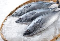 Dan por concluida la pesca de bonito: ¿para qué embarcaciones?