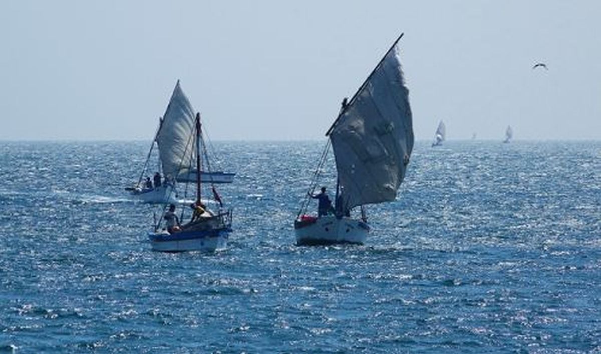 Oficializan creación de la Reserva Nacional Mar Tropical de Grau (Foto: Andina)