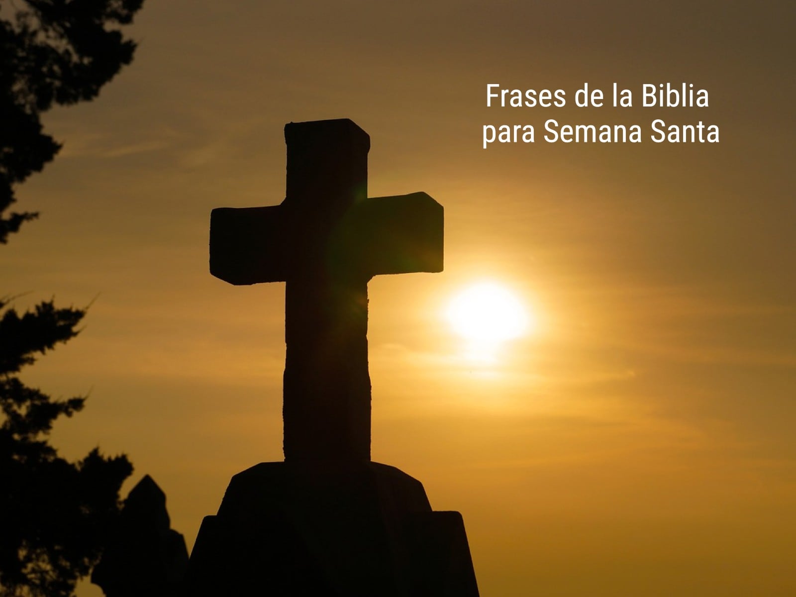 FRASES | Estos mensajes de la Biblia son ideales para compartir con tus compañeros del trabajo, clientes o colaboradores si comparten la religión católica. (Foto: sspiehs3 / Pixabay)