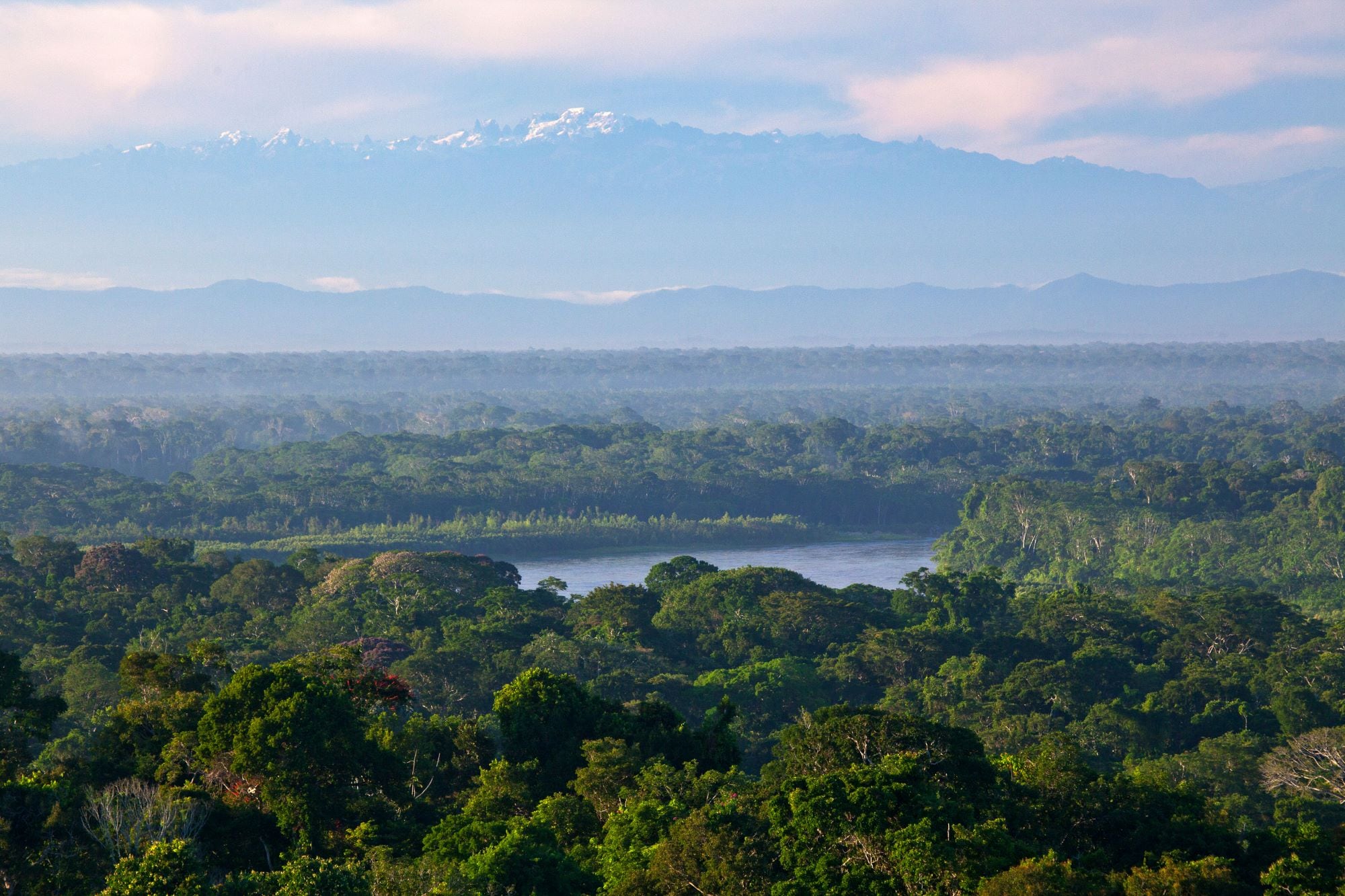 La campaña a favor de una tarificación internacional del carbono integrada en el comercio mundial se encuentra en serias dificultades.