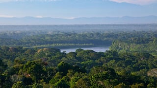 Por qué China y EE.UU. son involuntarios salvadores climáticos del mundo