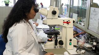 Concytec y BM destinarán US$ 11.5 millones a mejorar ciencia, tecnología e innovación en Perú