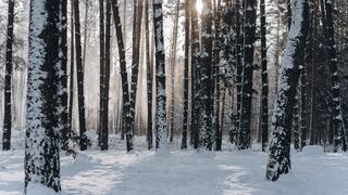 Estados de México que están soportando temperaturas de -15 grados