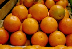 Midagri busca concretar 16 nuevos destinos para las agroexportaciones este año: estos son algunos