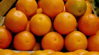 Midagri busca concretar 16 nuevos destinos para las agroexportaciones este año: estos son algunos