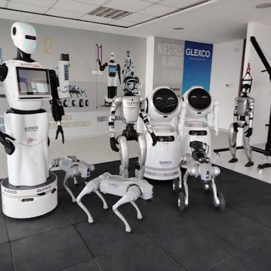 Glexco Robotics