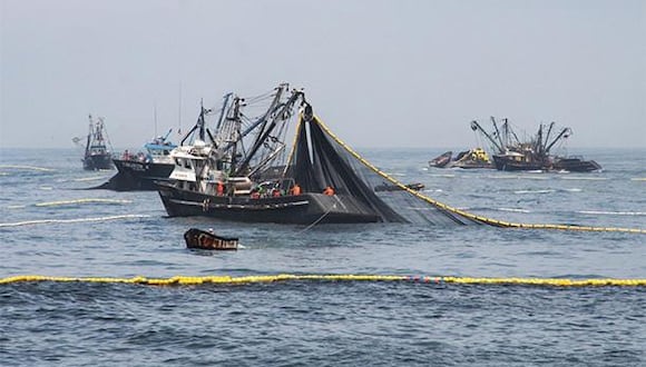 SNP señala que barrera burocrática impide a las empresas pesqueras acceder a una basta cantidad de recursos hidrobiológicos que podrían ser aprovechados. (Foto: Agencia Andina)