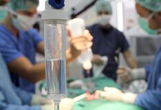 Trasplante de médula ósea en Perú: ¿cuántos van en lo que va del año?