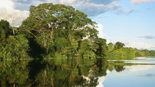 Subsistir (y dejar vivir) en los humedales de la Amazonía peruana
