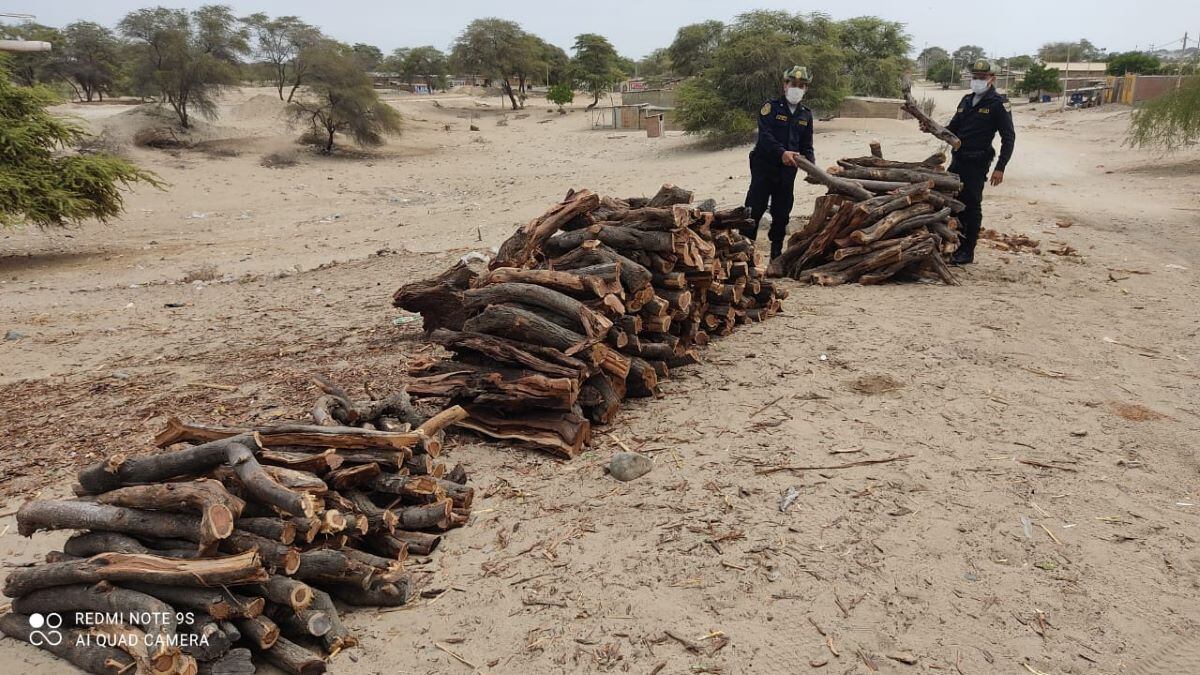 Autoridades alertaron sobre delitos ambientales como la tala ilegal de bosques. Foto: Mininter.