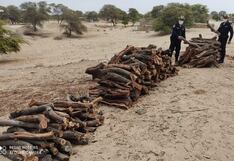 Semana Santa: intensifican vigilancia ambiental para evitar delitos y proteger ecosistemas