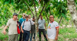 Mayor consumidor de chocolate en el mundo apuesta por cacao peruano: retos y ‘nuevos’ precios