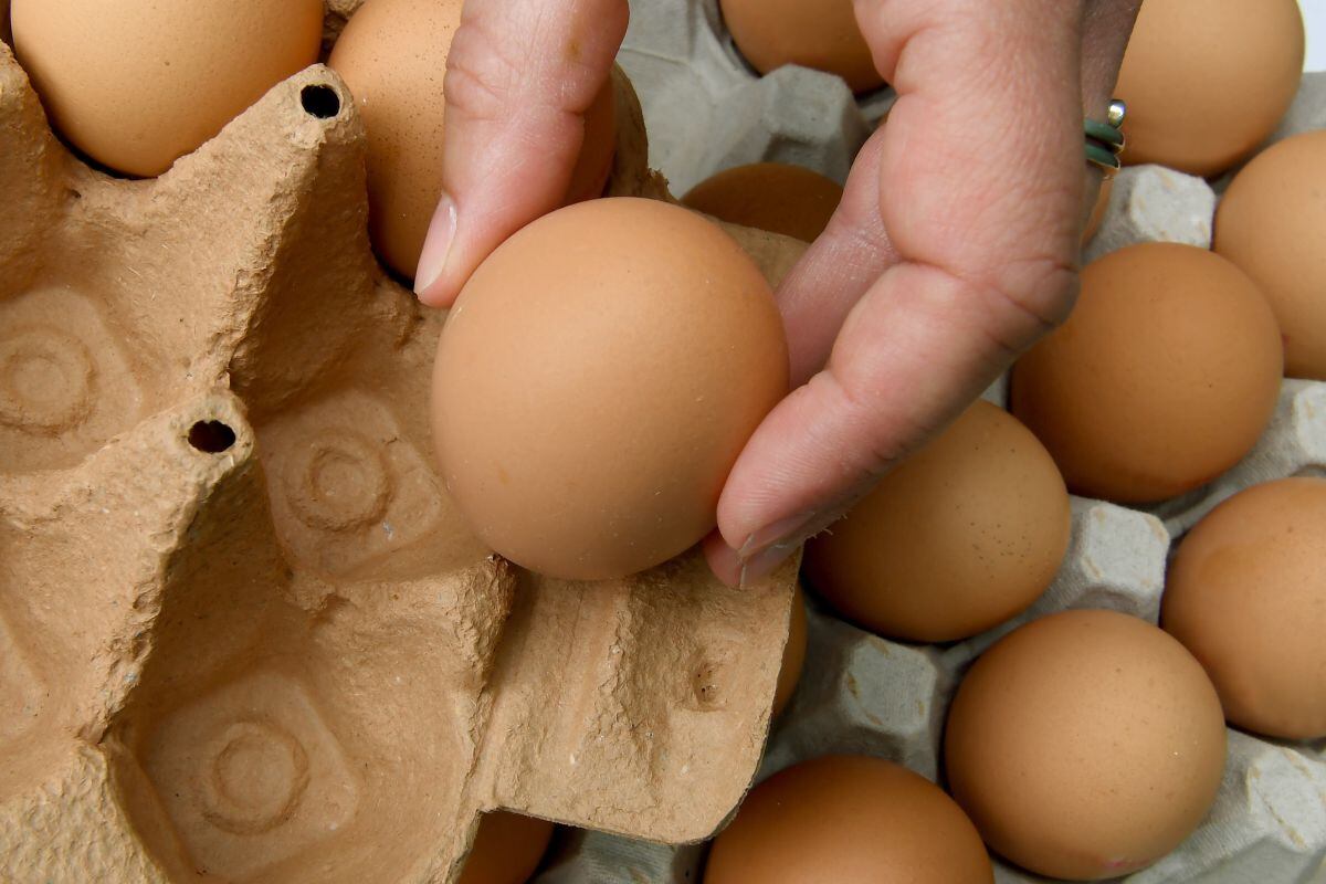 Si compraste los huevos del lote que puede contener salmonela, no debes consumirlos (Foto: Rodrigo Arangua / AFP)