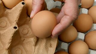 Costco: esto debes hacer si compraste los huevos con riesgo de salmonela