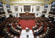 Presentan proyecto que propone elecciones adelantadas sean solo presidenciales