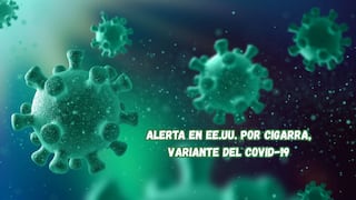 EE.UU. en alerta por Cigarra, variante del COVID-19: CDC vigilan su propagación en 25 estados