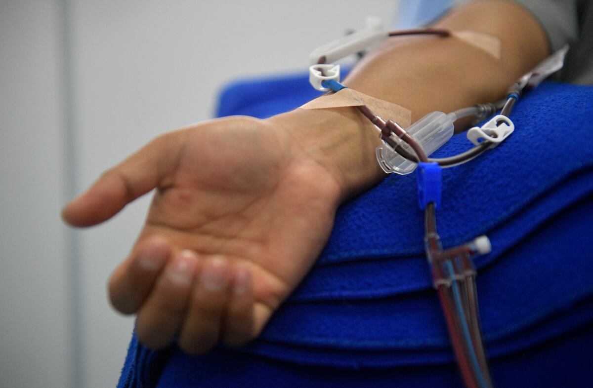 Las respuestas de las células T pueden indicar una protección inmunitaria “para quienes no tienen respuesta de anticuerpos”, señalaron los investigadores. (Foto: Raul ARBOLEDA / AFP).