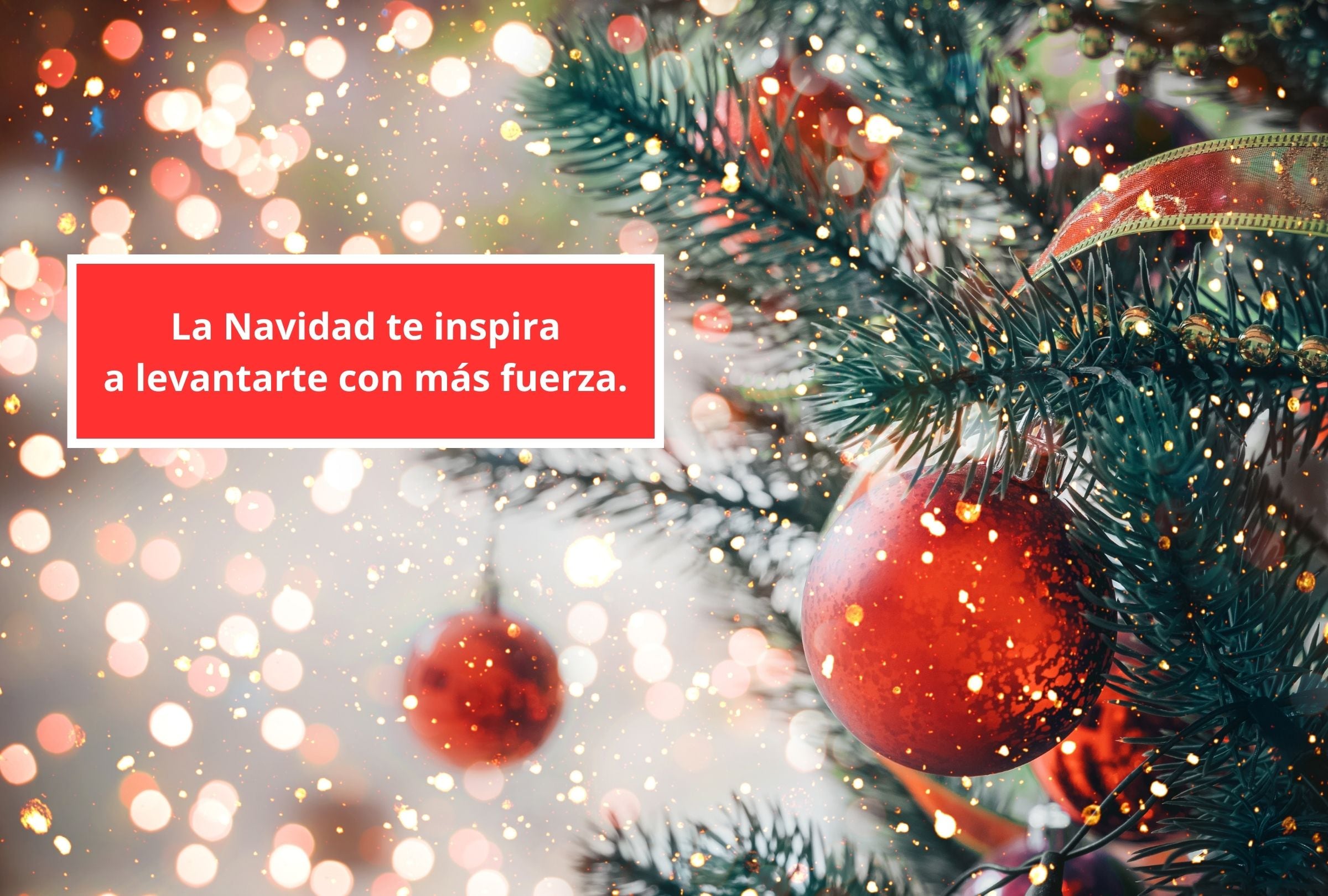 La Navidad te inspira a levantarte con más fuerza. (Foto: Composición Gestión Mix)