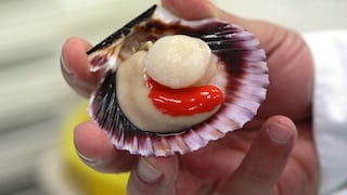 Conchas de abanico: sale primer embarque de exportación de Perú a Paraguay