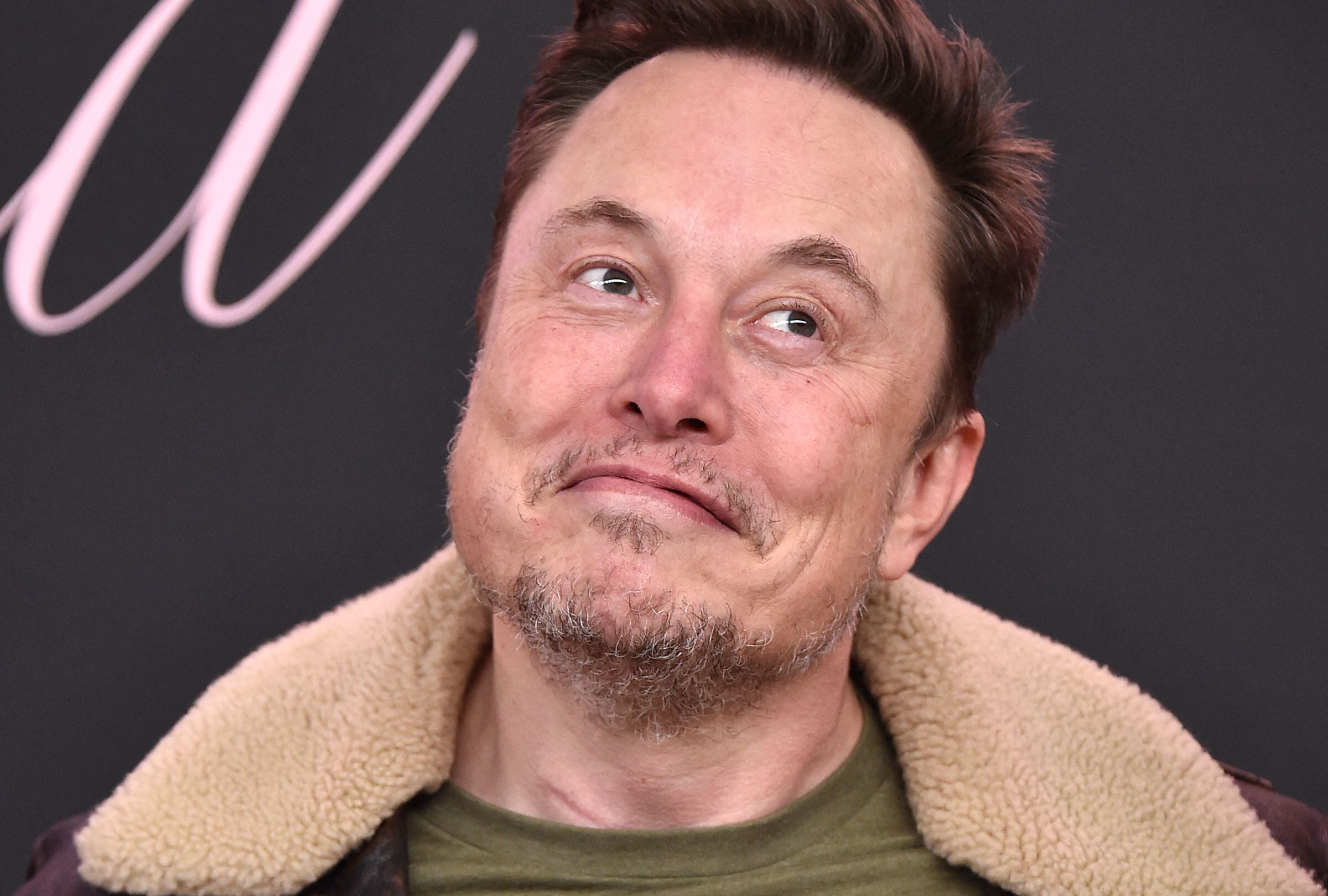 Elon Musk tiene gran poder en la administración de Donald Trump. Aquí cuando llegó al estreno de la película 'Lola' en el teatro Bruin de Los Ángeles, el 3 de febrero de 2024 (Foto: Lisa O'Connor / AFP)