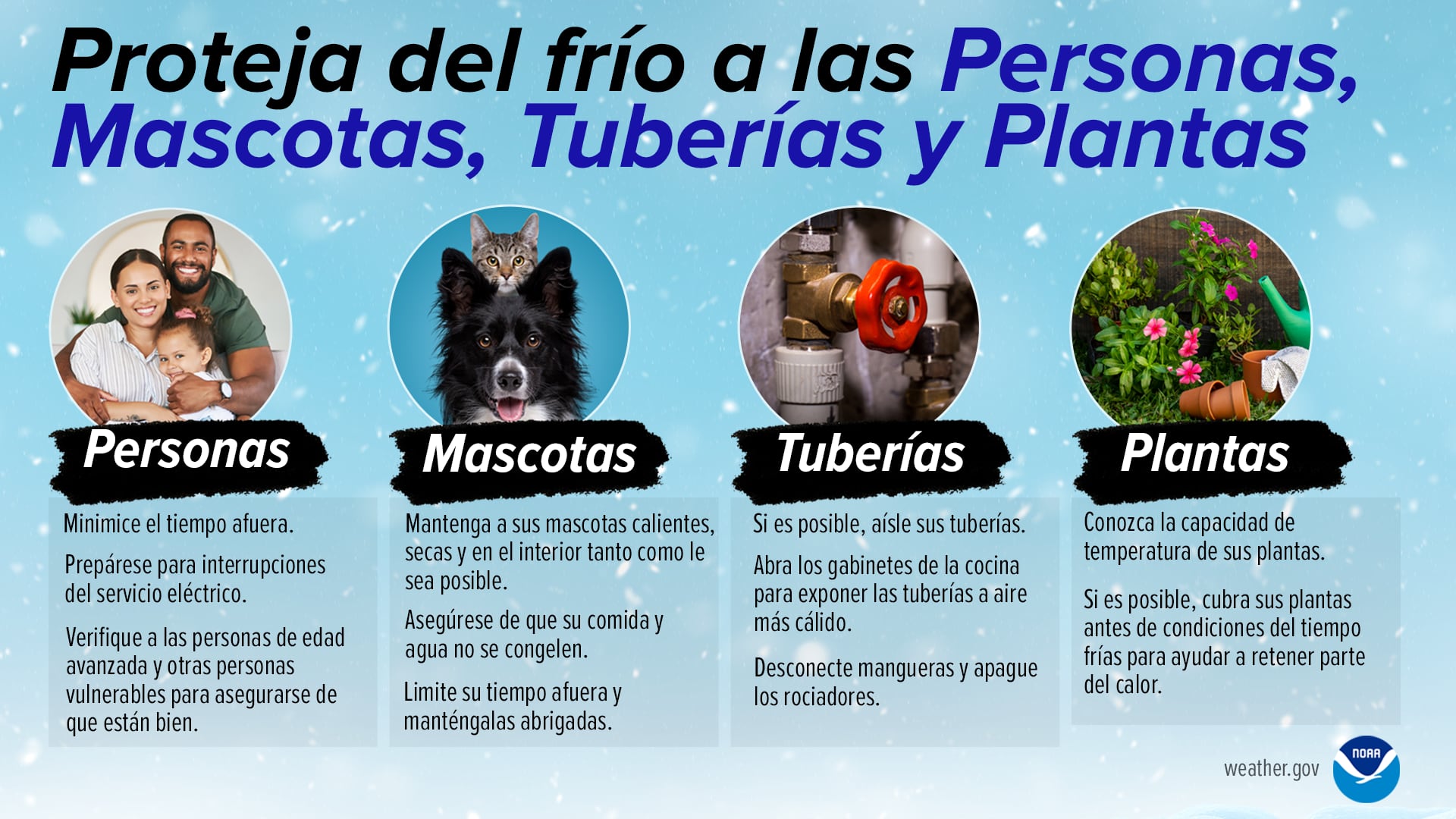 Para el NWS, las 4P son objetivos principales a proteger durante una tormenta invernal. (Crédito: NWS)