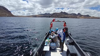 OEFA ordena la paralización temporal de Mar Andino Perú por contaminación de laguna Punrun